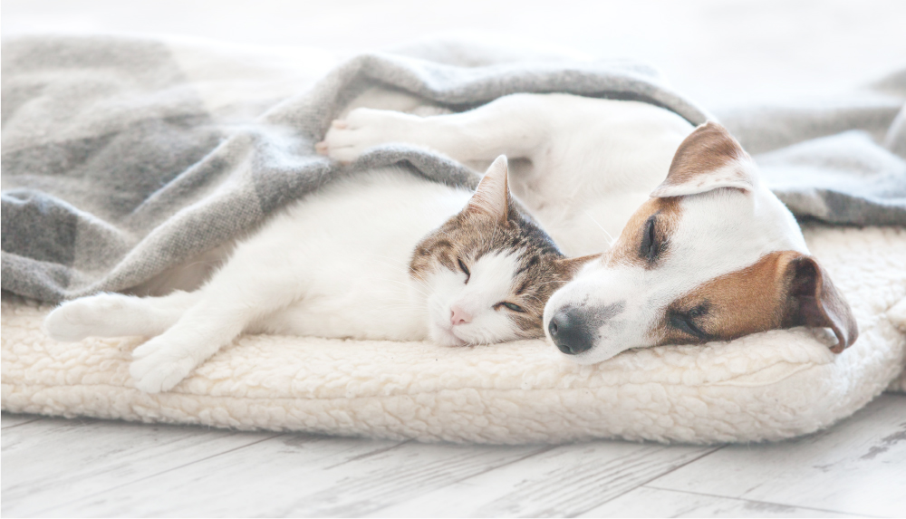 Smooth Running, Quite Operation